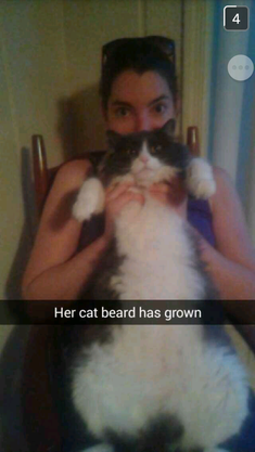 cat beard.png