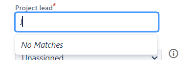 Inserting new Project Lead.png