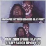 sneakysprintreview.jpeg