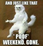 byemonday.jpg
