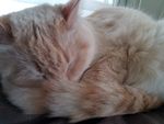 2018-05-13 17.59.40.jpg