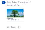 commentwithfiles.png