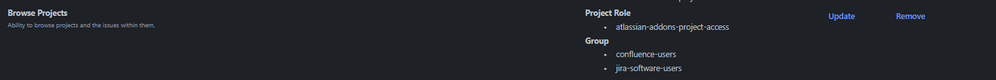 project role.png