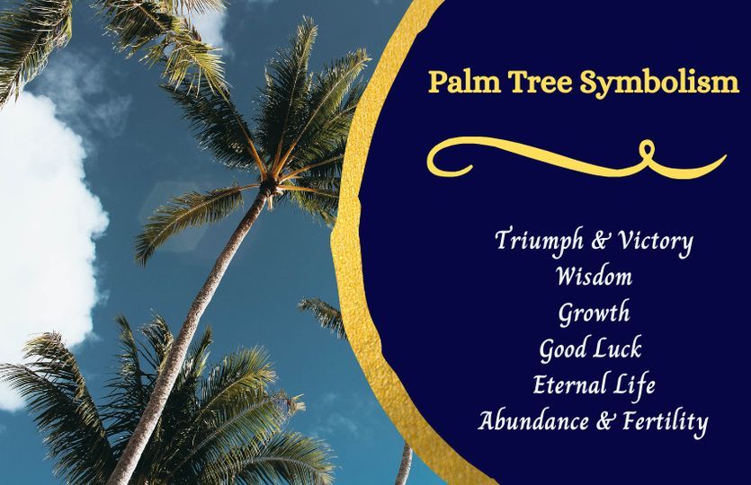 Palm Tree Symbolism 1.jpg