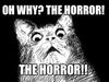 cat horror.jpg