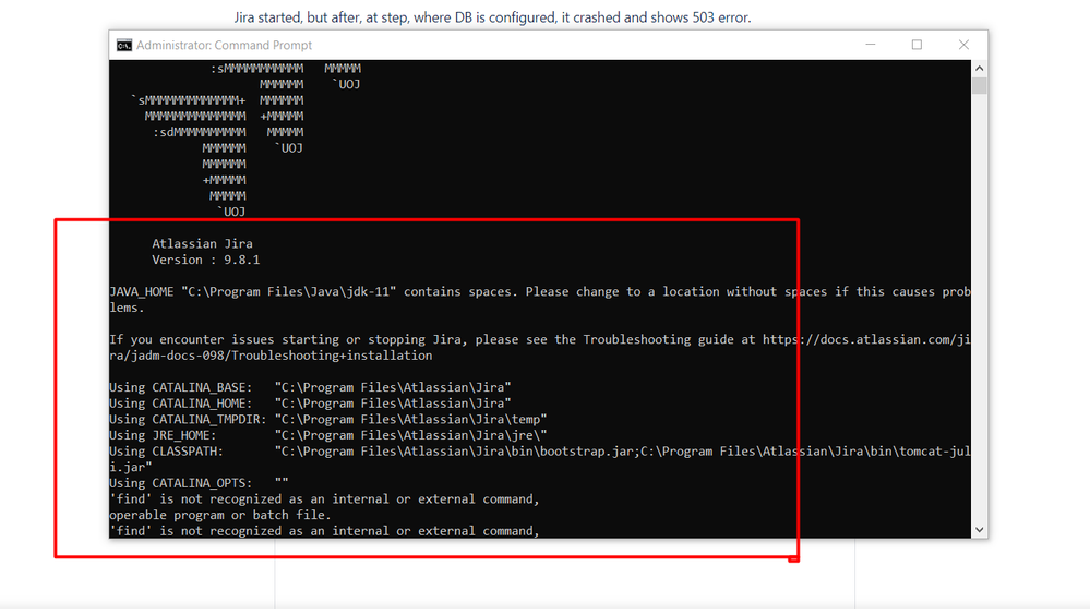 Jira_Issue1.png