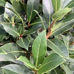 IMG_4517-scaled.jpeg