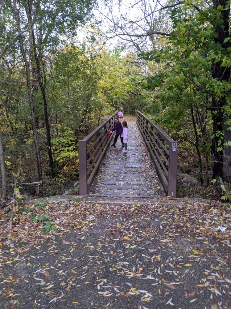 PXL_20201023_210653368 (1).jpg