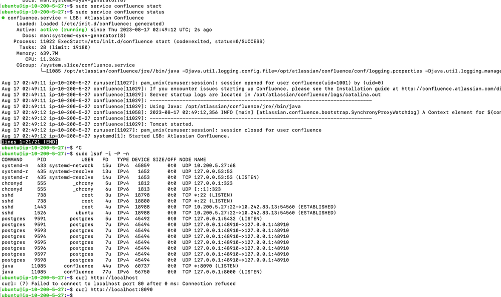Screenshot 2023-08-17 at 8.26.52 AM.png