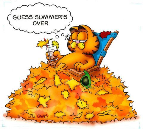 Garfield - Summer is over.jpg