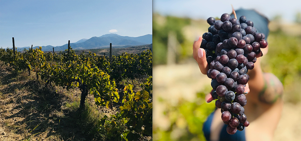 Screenshot 2023-08-28 at 15.12.19.png