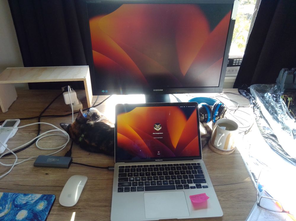 Whats on my desk.jpg