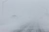 Blizzard2.jpg