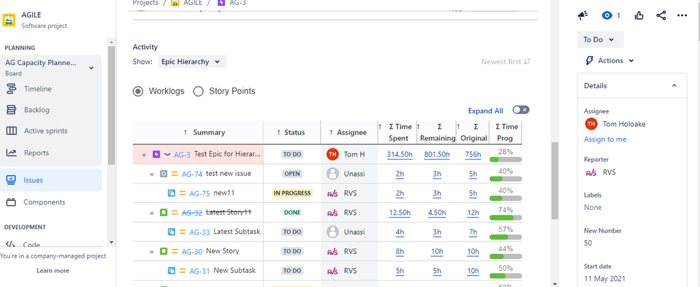 Epic Hierarchy_Issue Screen Cloud_Time Estimates.PNG