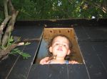 IMG_4325.JPG