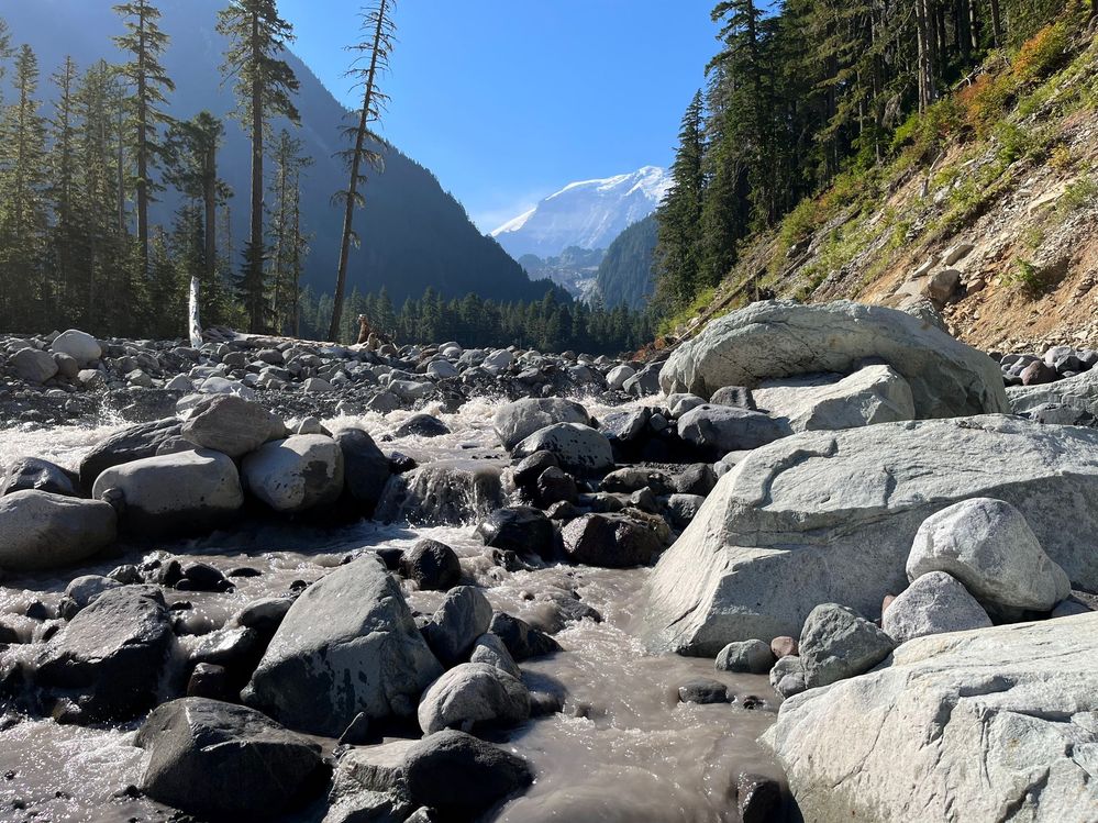 IMG_7920 (1) - Copy.jpg