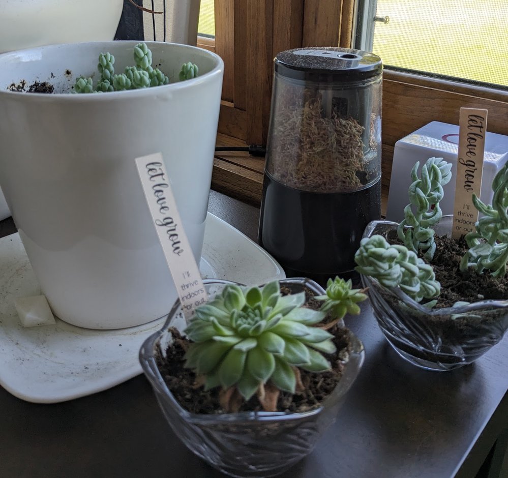 Screenshot 2023-09-15 at 4.24.41 PM.png