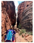 Zion.png