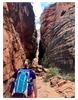 Zion.png