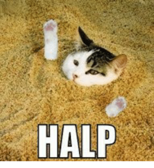 halp-7901699[1].png