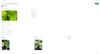 Confluence_Garden.JPG