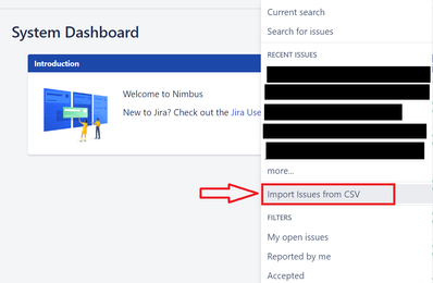 JIRA import option.png
