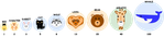 image-20231013-110038.png