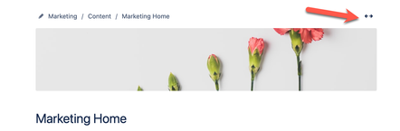 Full page width.png