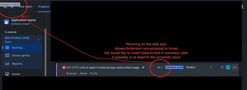 FixVersionBug.jpg