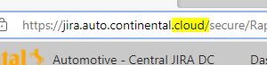 Jira issue_01.JPG