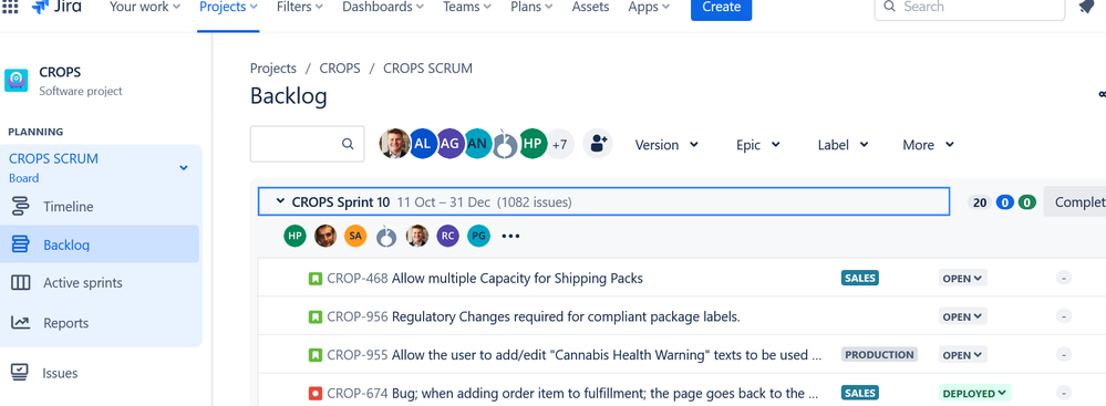 screenshot-cropsify.atlassian.net-2023.11.28-14_38_26.png