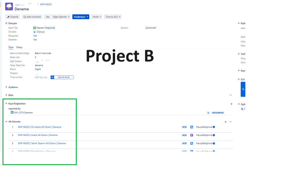 Project B.png
