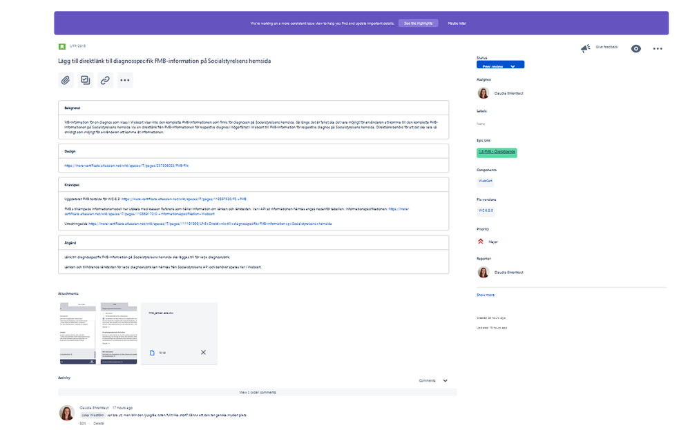 Jira issue view.PNG