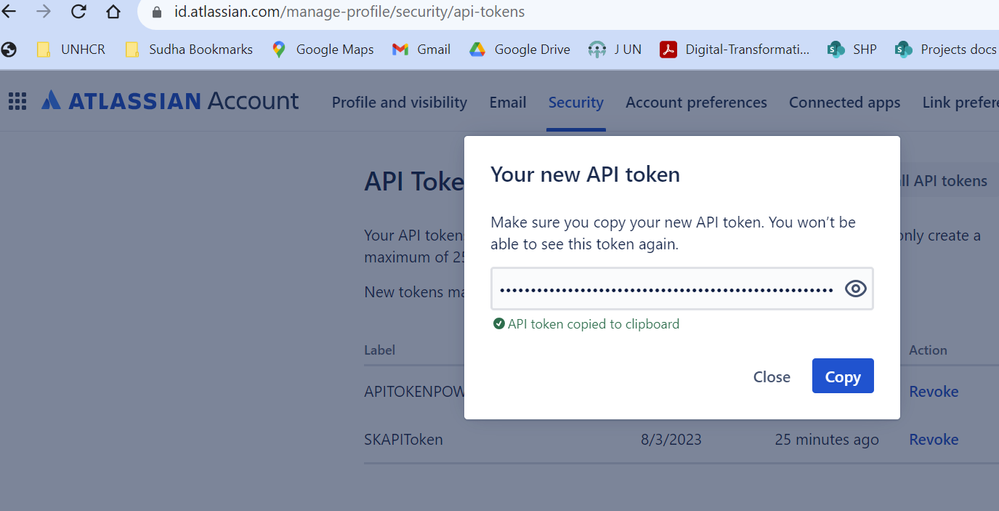 API token screen shot.png