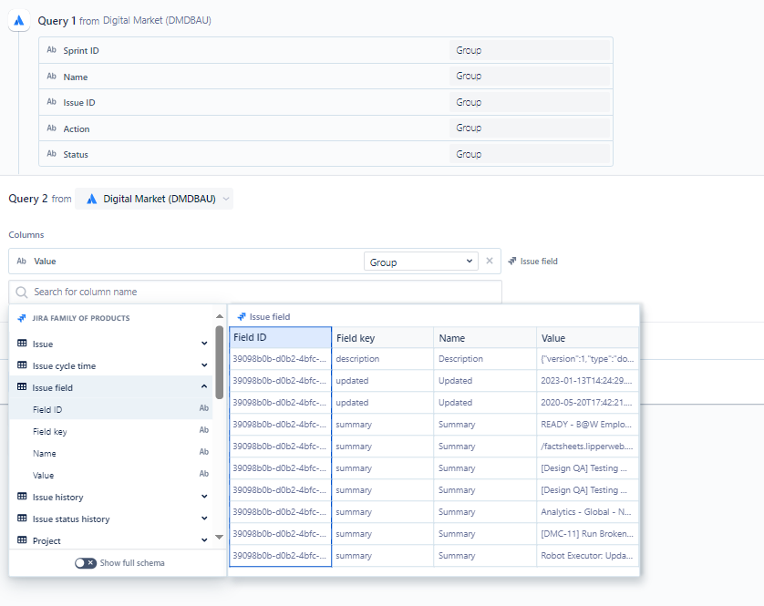 Issue Field Table.PNG