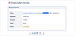 Page properties- Project plan (Acme) - Apolo Project - Confluence 2024-01-21 22-19-41.png