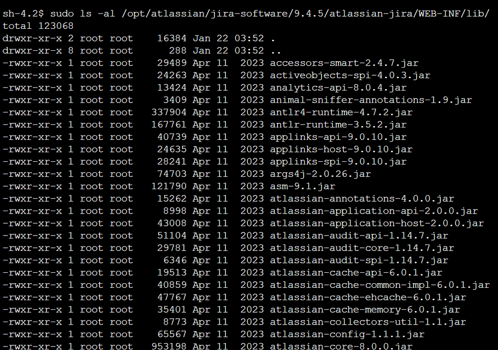 opt path.PNG