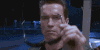 terminator.gif