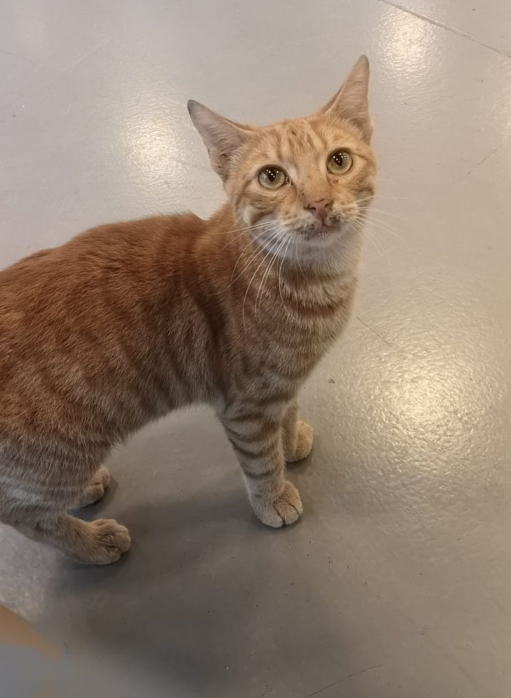 WhatsApp Image 2024-02-12 at 10.04.49.jpeg