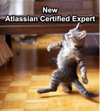 New ACE.png
