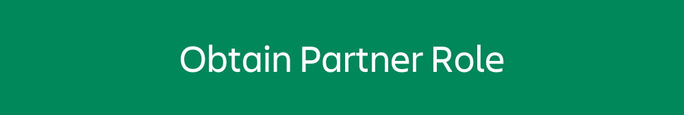 partner role.png