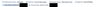 Salesforce imports.jpg