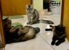 IMG_7883.jpeg