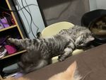 IMG_0927.jpeg