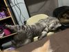 IMG_0927.jpeg