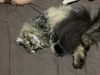 IMG_9784.jpeg