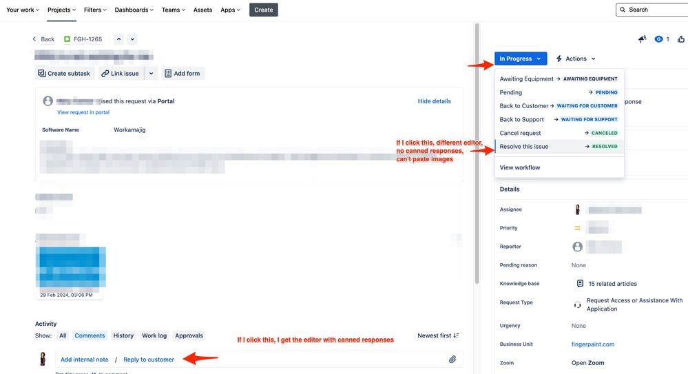 jira issue full.jpg