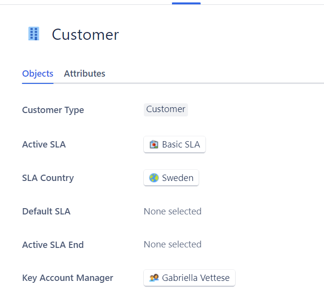 Customer_KeyAccountManager.png