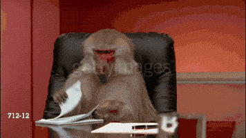 giphy