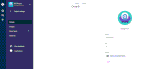 Capture1.GIF